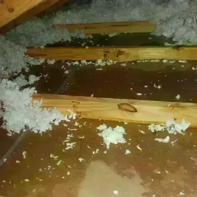 Attic Water Damage in Topton, PA